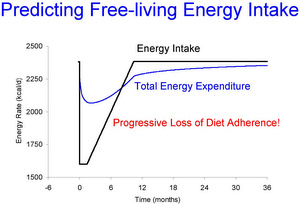 Energy intake, expenditure model